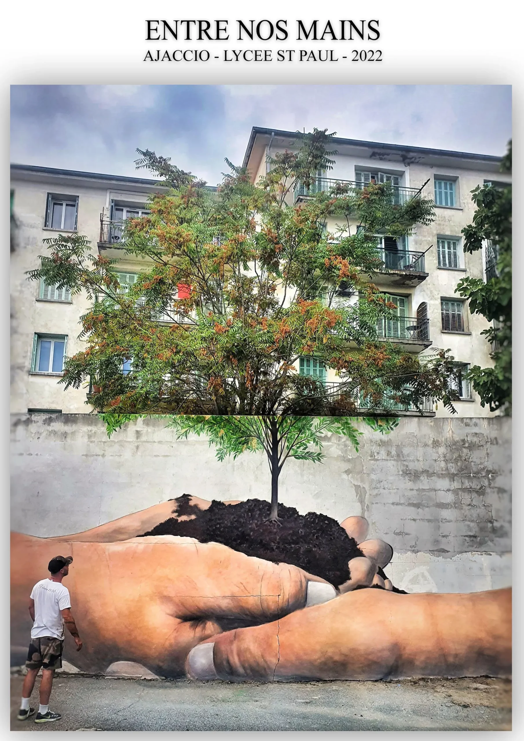portfolio de Martinetti, Artiste Peintre Contemporain Corse